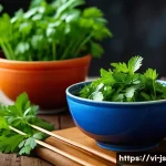 대체육 요리에서의 향신료 활용법 - A vibrant, close-up image of fresh Vietnamese herbs on a rustic wooden kitchen table: bright green c...